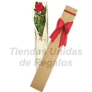 Arreglos florales para el día de la madre | Dia de la Madre - Caja con Rosa - Cod:DMA30