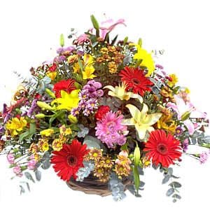 Envio de Regalos Arreglo Floral para Empresa | Delivery de Flores | Flores a Domicilio | Florerias - Whatsapp: 980660044