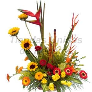 Envio de Regalos La Floristeria | Ofertas del Mes | Delivery de Arreglos Florales | Corporativo 09 - Whatsapp: 980660044