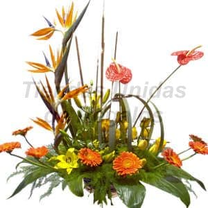 Servicio floral para empresas | Arreglos Corporativo 13 - Whatsapp: 980660044