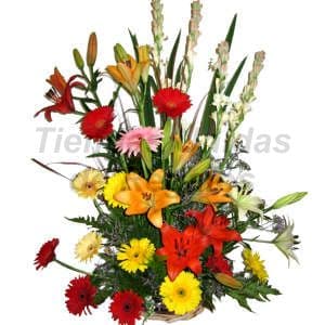 Envio de Regalos Resultados de búsqueda
Resultados de la Web

Arreglos Florales para Eventos Empresariales | Arreg - Whatsapp: 980660044
