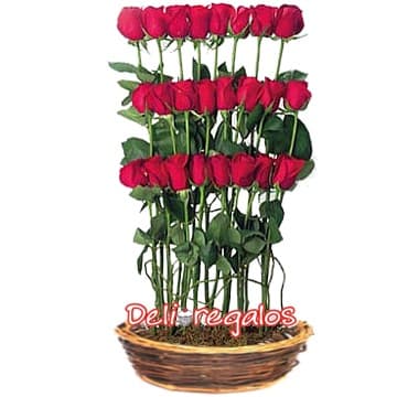 Envio de Regalos Rosas Importadas | Arreglo de 24 Rosas Importadas | Florerías a Domicilio - Whatsapp: 980660044