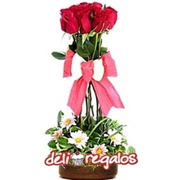 Mejorate Pronto con un Topiario de rosas | Florerias en lima | Floreria en lima - Cod:AGT09