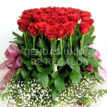 Arreglos Gigantes de Rosas | 40 Rosas - Diloconrosas.com