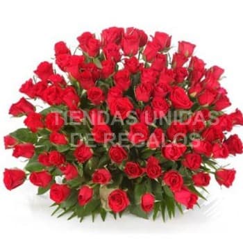Arreglo con Rosas Gigante de 100 rosas  | Arreglos de Rosas - Cod:GCM06