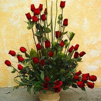 Envio de Regalos Arreglo con Rosas Gigante de 45 rosas  | Arreglos con Rosas - Whatsapp: 980660044