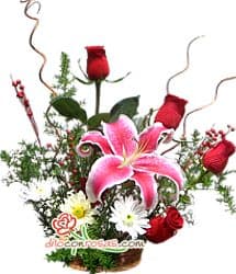 Arreglo Floral Navideño | Navidad con Rosas para regalar - Whatsapp: 980660044