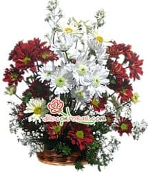 Envio de Regalos Arreglos de Flores para Navidad | Arreglo de Navidad con Rosas - Whatsapp: 980660044