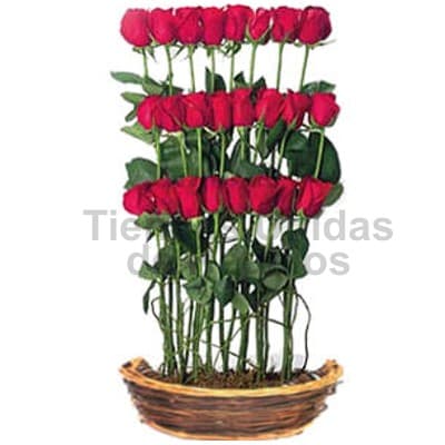 Rosas para Secretaria | Flores para Secretarias  - Cod:SET05