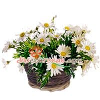Envio de Regalos Arreglos Florales Lima | Arreglos Florales | Florerias en Peru - Whatsapp: 980660044