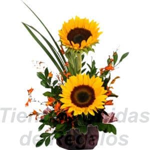 Envio de Regalos Arreglo de Girasoles | Arreglos de Girasoles | Arreglos florales con Girasoles - Whatsapp: 980660044