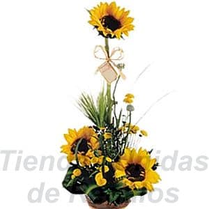 Envio de Regalos Arreglos florales con girasoles - Arreglo de girasoles - Whatsapp: 980660044